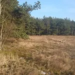 Fitnessfun 3* Krzyż