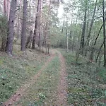 Fitnessfun Bed & Breakfast Krzyż