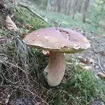 Bed & Breakfast Fitnessfun 3*