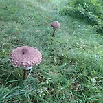 Bed & Breakfast Fitnessfun