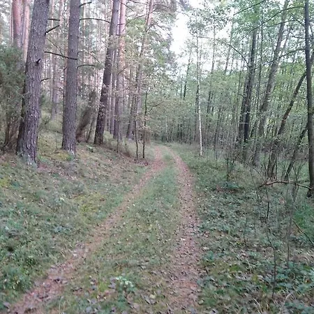 Fitnessfun Bed & Breakfast Krzyż