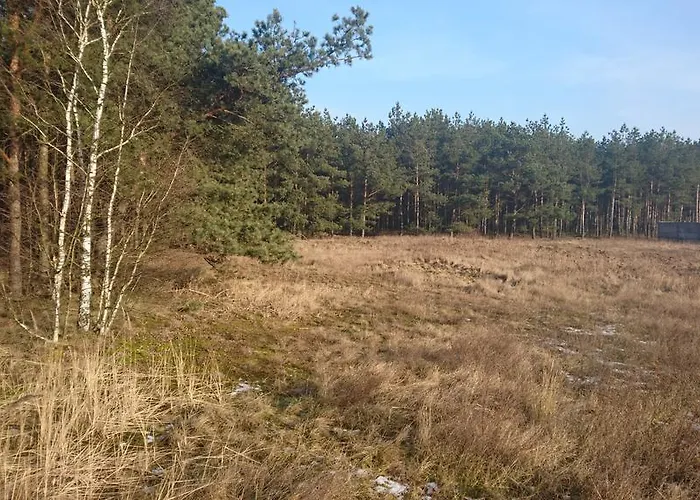 Fitnessfun 3* Krzyz Wielkopolski