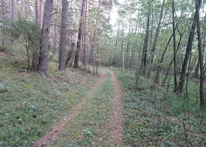 Fitnessfun Bed & Breakfast Krzyz Wielkopolski