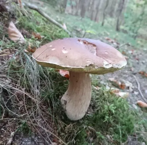 Bed & Breakfast Fitnessfun 3*