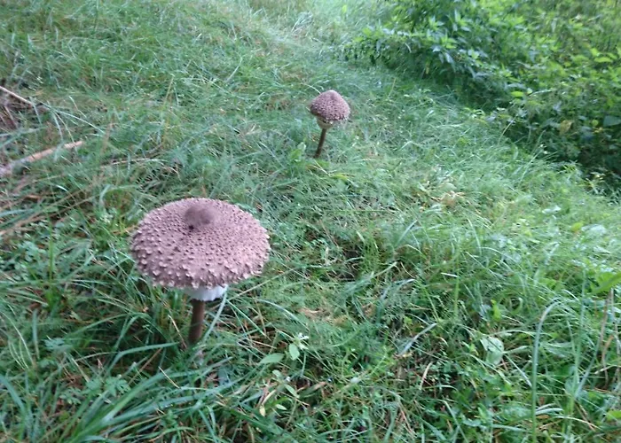 Bed & Breakfast Fitnessfun